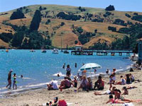 akaroa2.jpg